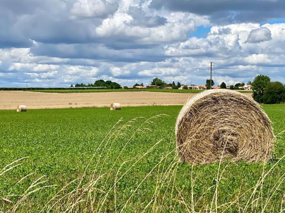 Poetique Entre Vignes, Loire Et Moulin * Divatte-sur-Loire
